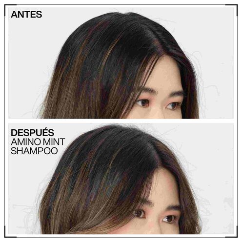CUERO CABELLUDO - Redken | L'Oréal Partner Shop